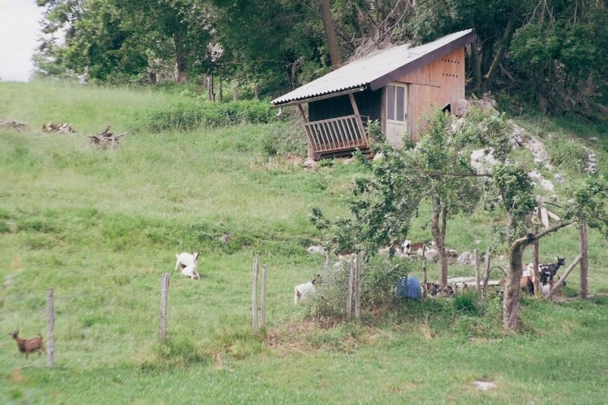 Soca Valley Berghaus Kobarid Εξωτερικό φωτογραφία
